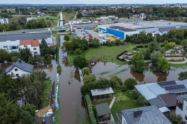 Zalane tereny przy starym korycie rzeki Topornicy w Zamościu /Wojtek Jargiło /PAP