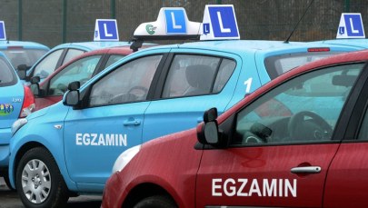 Załatwiali prawa jazdy bez kursów i egzaminów 