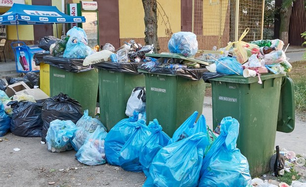 Zalegające worki, gnijące odpady i brak odbioru. Gdynia tonie w śmieciach