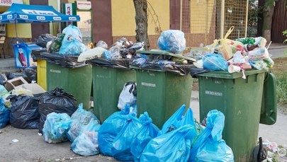 Zalegające worki, gnijące odpady i brak odbioru. Gdynia tonie w śmieciach
