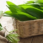 Zalej liście oliwą i pij po łyżeczce. Wspiera zdrowie, wzmacnia, odmładza