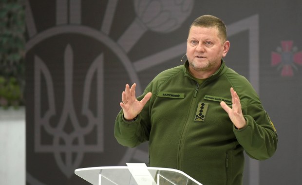 Załużny zdymisjonowany. Jest decyzja Zełenskiego