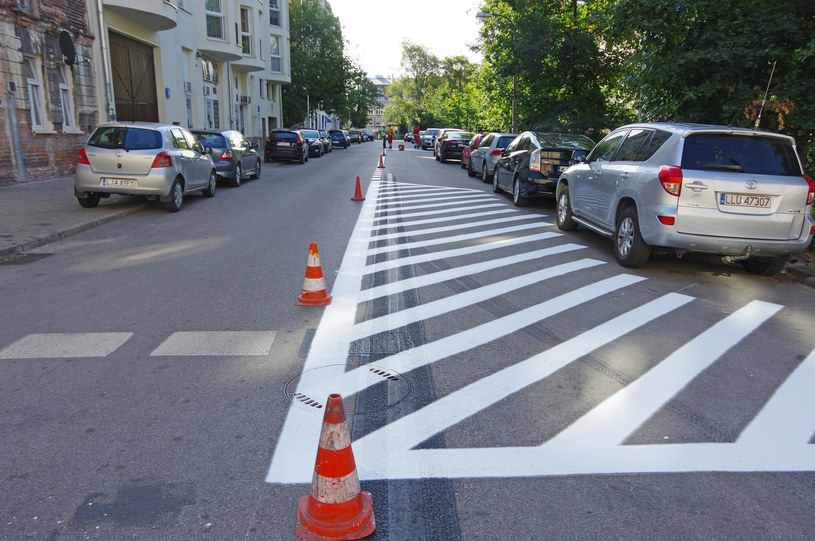 Zamalowywanie asfaltu to ulubione zajęcia urzędników z Warszawy i Krakowa /Marek Bazak /East News