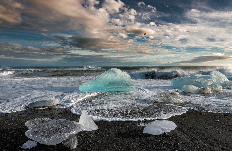 Zamarzające islandzkie wybrzeże /123RF/PICSEL