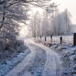 Zamarznięta kobieta na skraju lasu. Zimowy koszmar w Zachodniopomorskiem