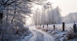 Zamarznięta kobieta na skraju lasu. Zimowy koszmar w Zachodniopomorskiem