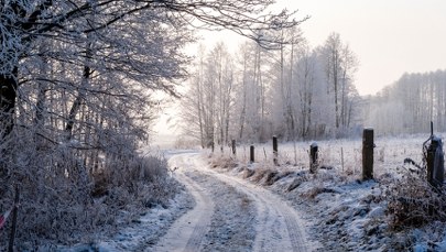 Zamarznięta kobieta na skraju lasu. Zimowy koszmar w Zachodniopomorskiem