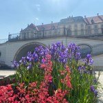 ​Zamek Królewski w Warszawie zaprasza na piknik jubileuszowy