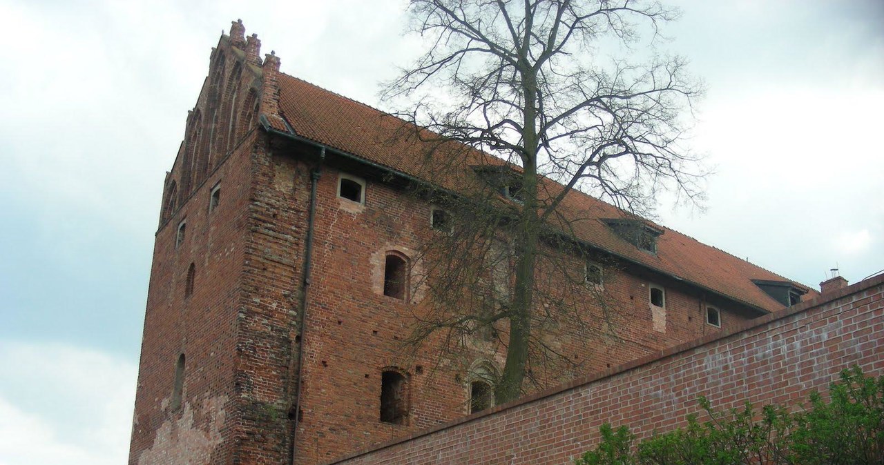 Zamek w Działdowie. /Sławek Zawadzki, CC BY-SA 3.0 /Wikimedia