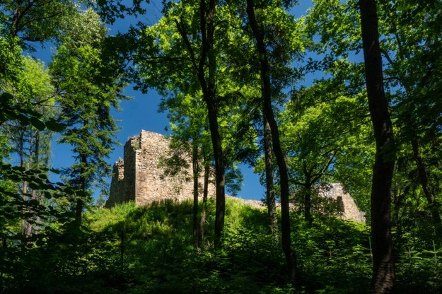 Zamek w Lanckoronie na zdj. 2020 r. /Jerzy Ochoński   /PAP