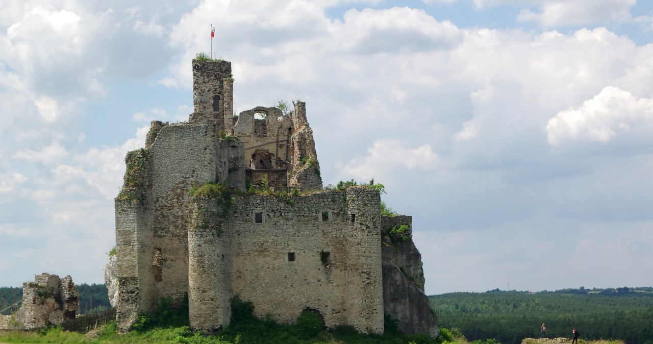 Zamek w Mirowie. /WikimediaCommons/Jakub Hałun/GFDL /Wikipedia
