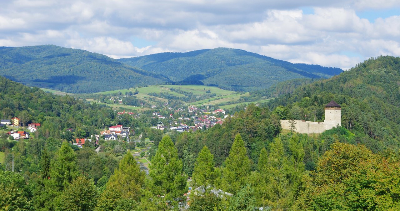 Zamek w Muszynie na tle górskiejgo krajobrazu /ZOFIA BAZAK /East News