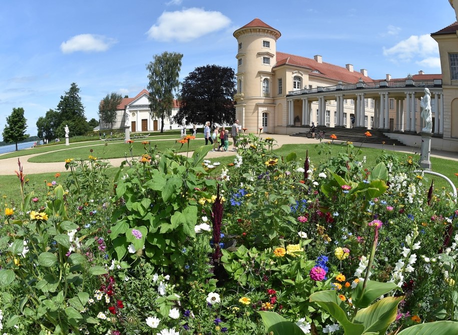 Zamek w  Rheinsberg /Bernd Settnik    /PAP/EPA