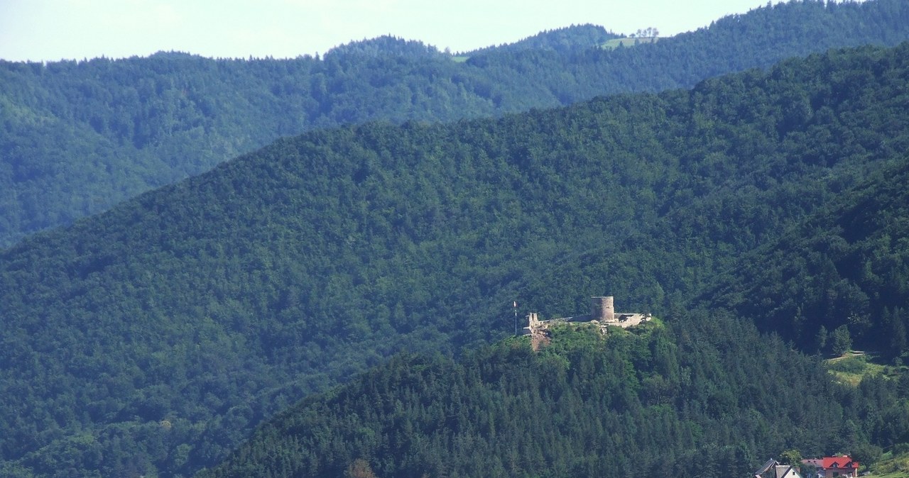 Zamek w Rytrze położony jest na wzniesieniu nad Popradem. /Jerzy Opioła - Praca własna, CC BY-SA 4.0 /Wikimedia