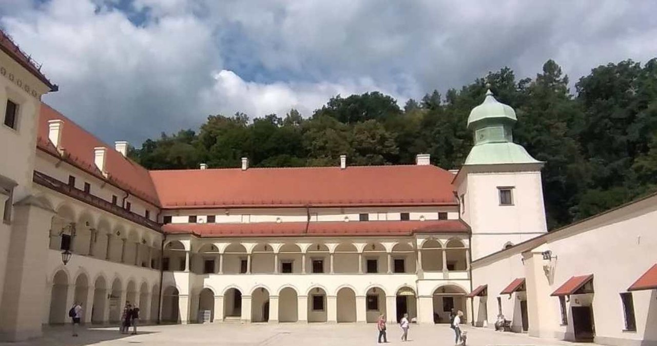 Zamek w Suchej Beskidzkiej w pełnej krasie /arch. INTERIA.PL