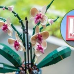 Zamiast kwiaciarni – regał z klockami LEGO. Tak wygląda prezent idealny w 2025 roku
