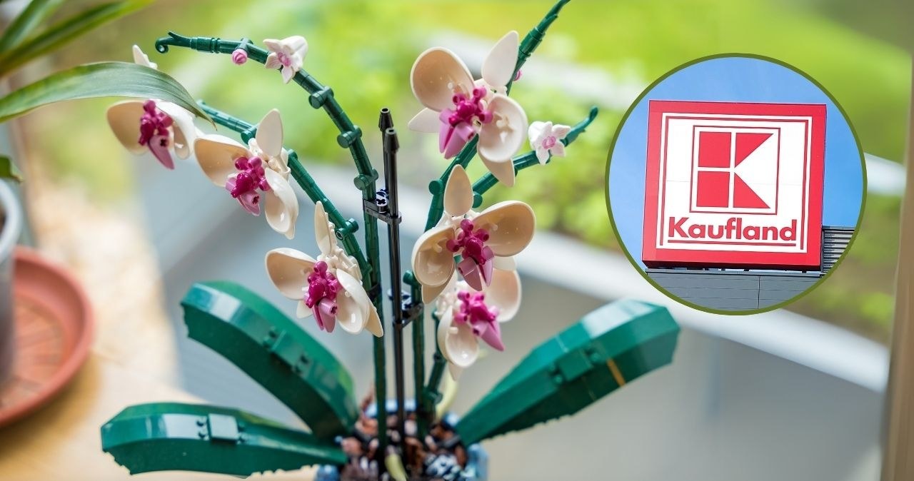 Zamiast kwiaciarni – regał z klockami LEGO. Tak wygląda prezent idealny w 2025 roku /adobestock /INTERIA.PL