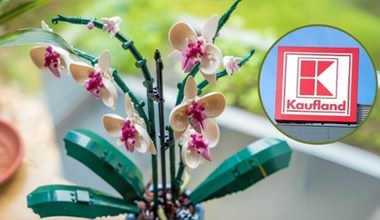Zamiast kwiaciarni – regał z klockami LEGO. Tak wygląda prezent idealny w 2025 roku