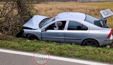 Zamiast na drogę, patrzył na radio. I wylądował na drzewie