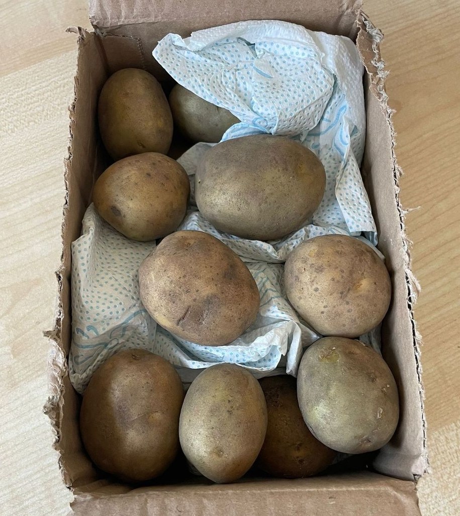 Zamiast telefonu, 42-letnia kobieta dostała paczkę z ziemniakami owiniętymi w ręczniki papierowe /KPP Ryki /