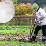 Zamiast wyrzucać folię bąbelkową, wynieś ją do ogrodu. Efekt cię zaskoczy