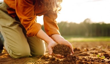 Zamiast wyrzucać, zakop to w ogrodzie. Rośliny będą ci wdzięczne