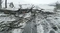 Zamieć śnieżna w Afryce niesie śmiertelne żniwo.