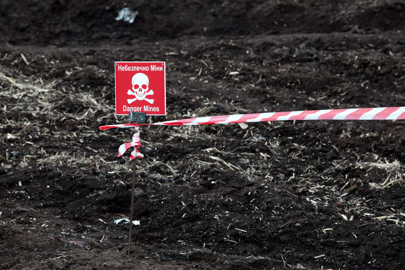 Zaminowane pole w Ukrainie/zdjęcie ilustracyjne /Evgen Kotenko/ Ukrinform/Future Publishing /Getty Images