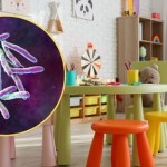 Zamknięte placówki, masowe testy. Gruźlica w Krośnie Odrzańskim