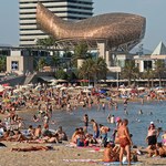 Zamknięte plaże w Barcelonie. W rejonie pojawiły się rekiny