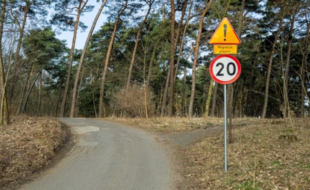 Zamknięte ulice w Poznaniu. Powód jest niecodzienny