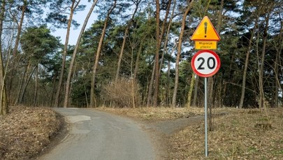 Zamknięte ulice w Poznaniu. Powód jest niecodzienny
