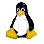 Zamknięto luki w jądrze Linux