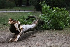 Zamknięty park wilanowski w Warszawie