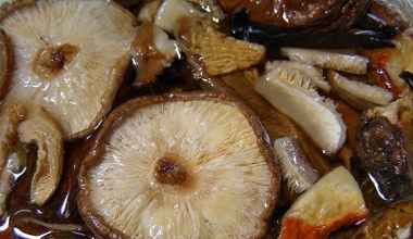 Замочуйте гриби лише в такій воді. Вони будуть м’які та ароматні. Ідеально підходять для вареників та бігоса