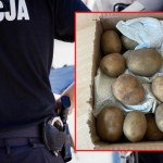 Zamówiła telefon, dostała ziemniaki owinięte w ręcznik papierowy