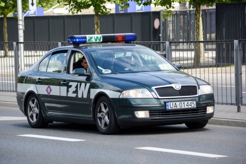 Żandarmi mają takie same uprawnienia jak policja /Mariusz Gaczyński /East News