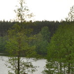 Zanieczyszczenie jeziora w Ostrowie Wielkopolskim. Winna firma opróżniająca szamba