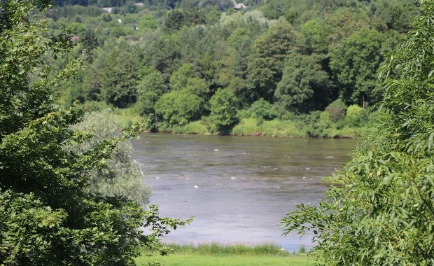 Zanieczyszczona rzeka w Gliwicach