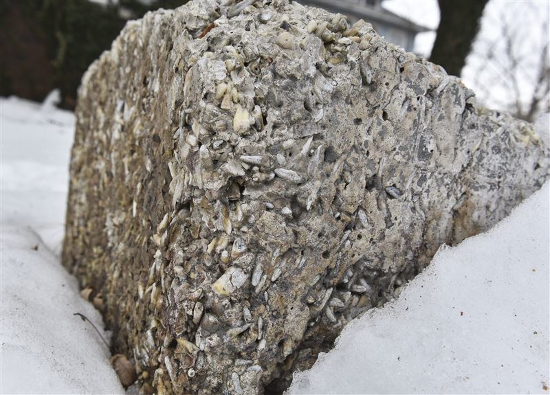 Zanurzony w śniegu pomnik ku czci owczarka niemieckiego - Prince'a /materiały prasowe
