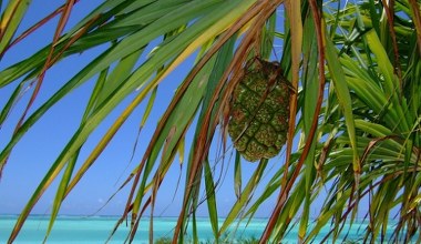 Занзібар замість Єгипту. Там тепло взимку, а ціни не відлякують