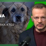 Zaostrzona kontrola schronisk to za mało. Niektóre miejsca to mordownie