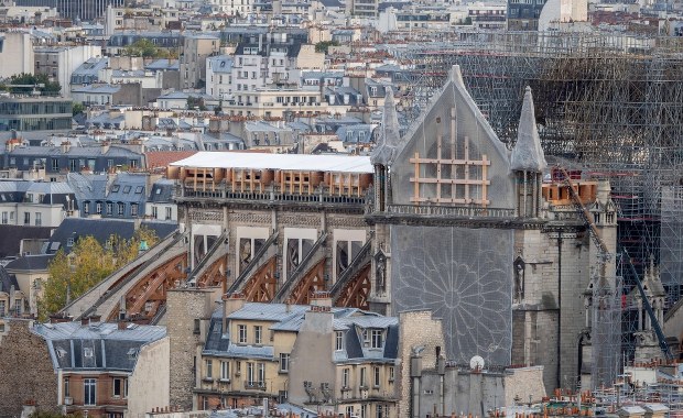 Zaostrzono ochronę katedry Notre Dame! Nieznani sprawcy weszli do dźwigu