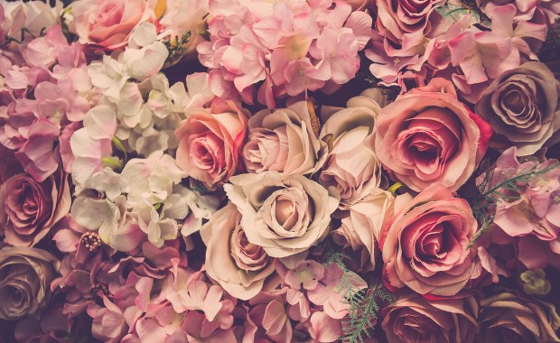 Zapach wspomaga naukę. Masz egzamin? Wąchaj róże