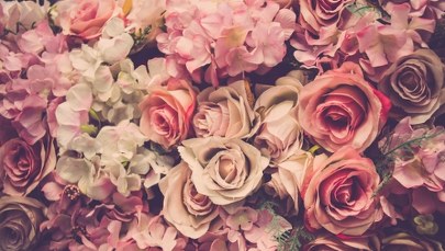 Zapach wspomaga naukę. Masz egzamin? Wąchaj róże