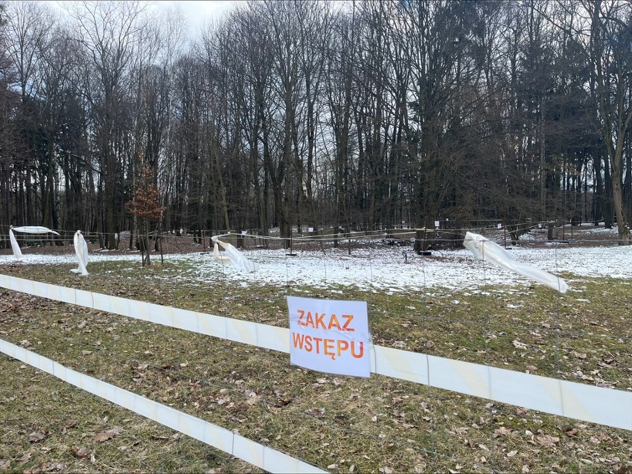 Zapadlisko w parku w Bolesławiu /Paweł Konieczny /RMF FM