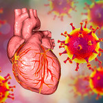Zapalenie mięśnia sercowego - co trzeba o nim wiedzieć?