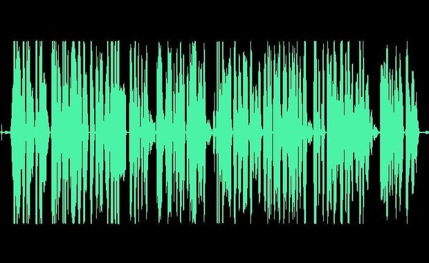 Zapis rozmowy z Leszkiem Czarneckim został sfałszowany. Tak będzie się bronił Marek Chrzanowski