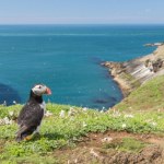 Zapłacą za mieszkanie na tej wyspie. Jest jednak warunek