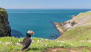 Zapłacą za mieszkanie na tej wyspie. Jest jednak warunek